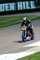 enduro-digital-images;event-digital-images;eventdigitalimages;lydden-hill;lydden-no-limits-trackday;lydden-photographs;lydden-trackday-photographs;no-limits-trackdays;peter-wileman-photography;racing-digital-images;trackday-digital-images;trackday-photos